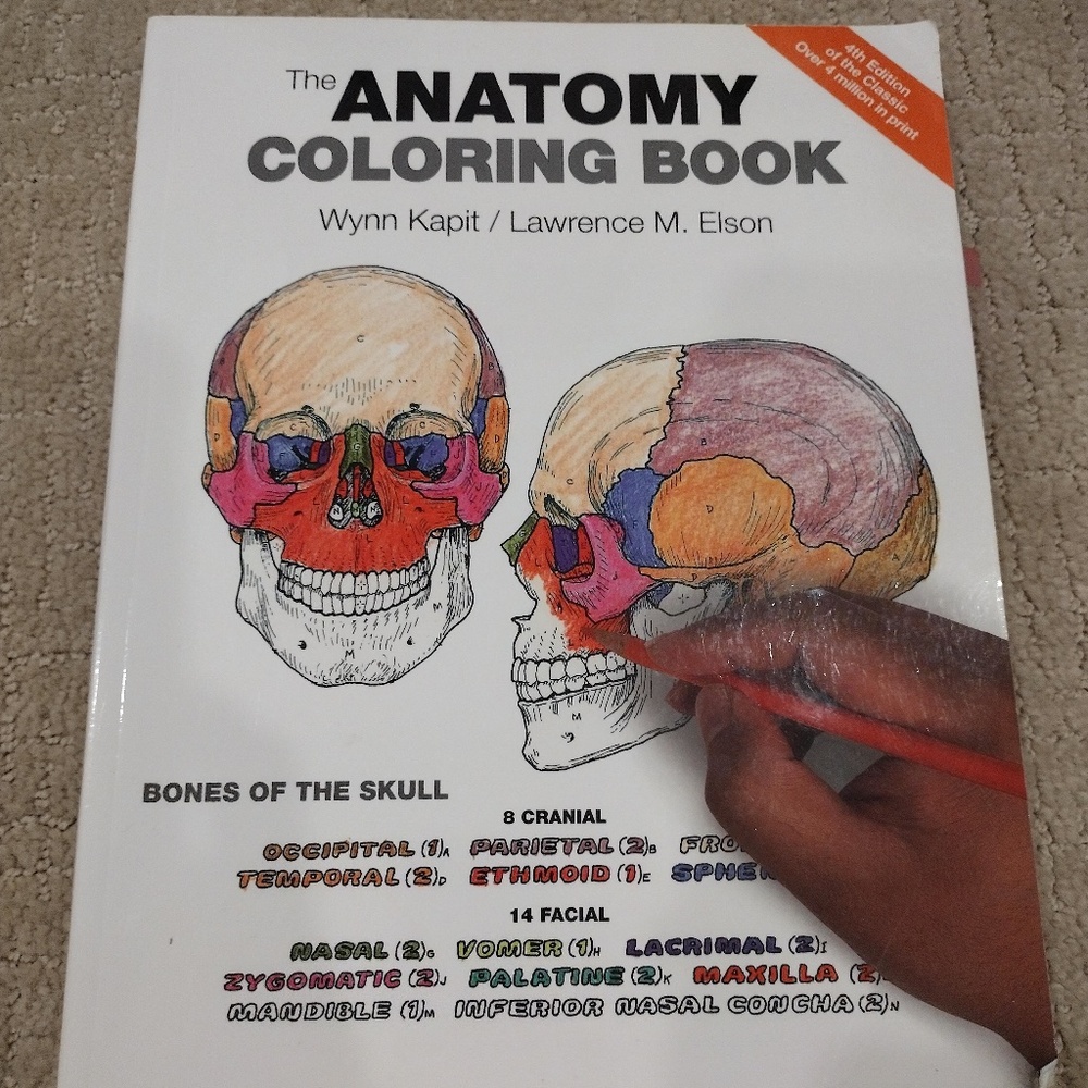 The Anatomy Coloring Book 4th Edition by Kapit & Lawrence (2014 Paperback)